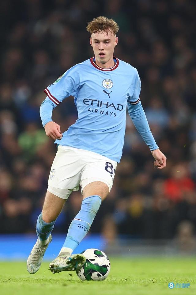 赛季数据报 赛季数据报